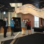Castelló exposición dinosaurios en Planetario