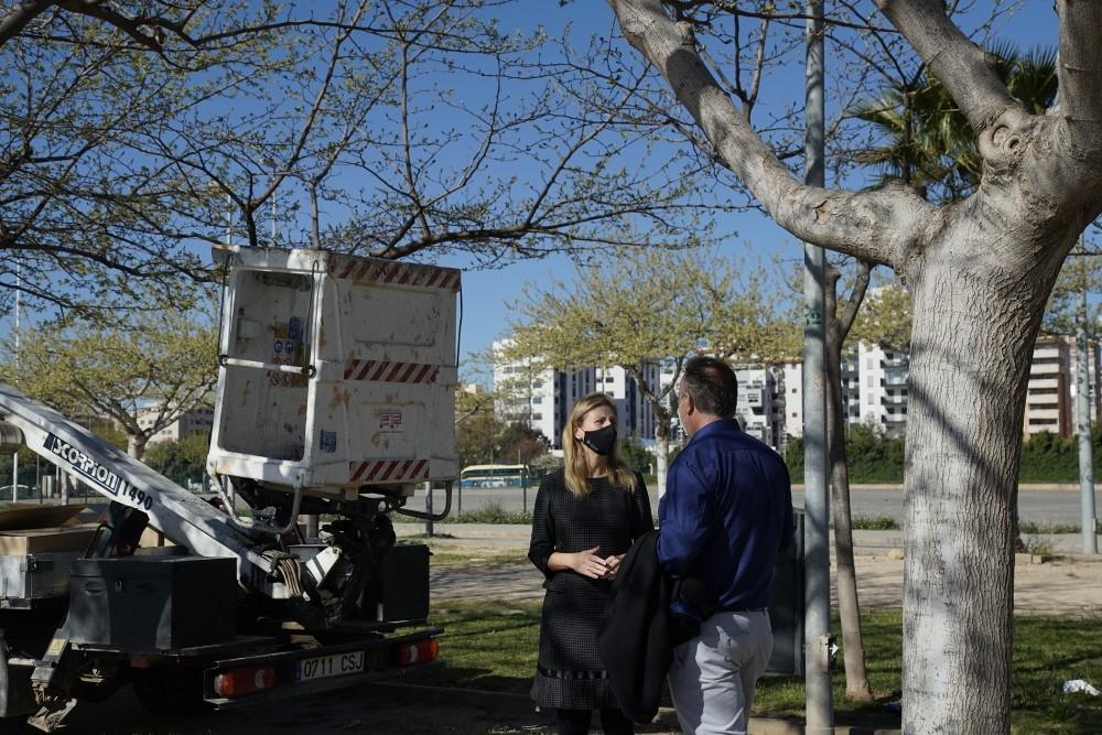 Amparo Marco ha visitado los primeros trabajos del proyecto, en la zona Este