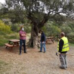 Anogueret vall d'UIXO