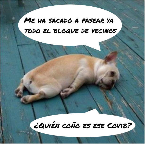 #coronavirus perros agotados