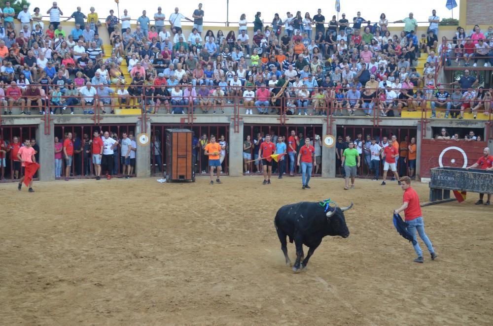 Oropesa, toros