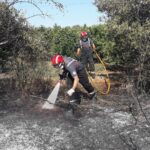 incendio vegetación vila-real