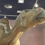 Castelló exposición dinosaurios en Planetario
