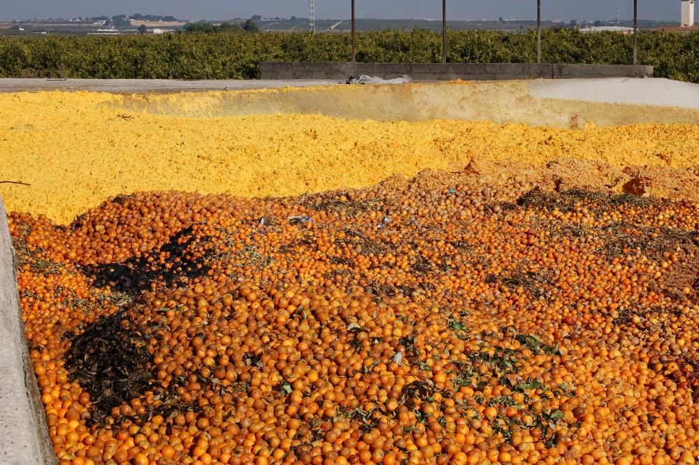 Balsa de secado cítricos