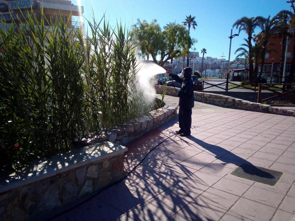 Peníscola fumigacions prevenir la proliferación de mosquits