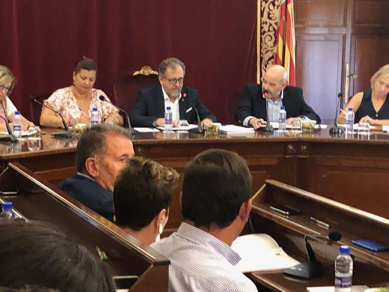 Pleno Diputacion 230719