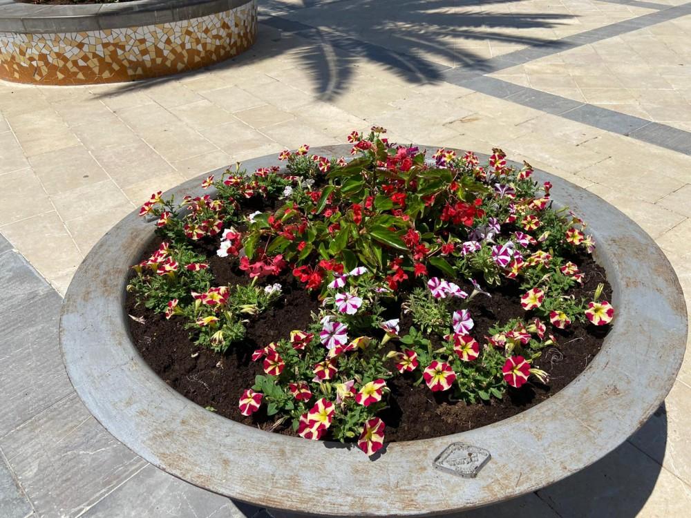 MEJORA ZONAS AJARDINADAS LA LLOSA