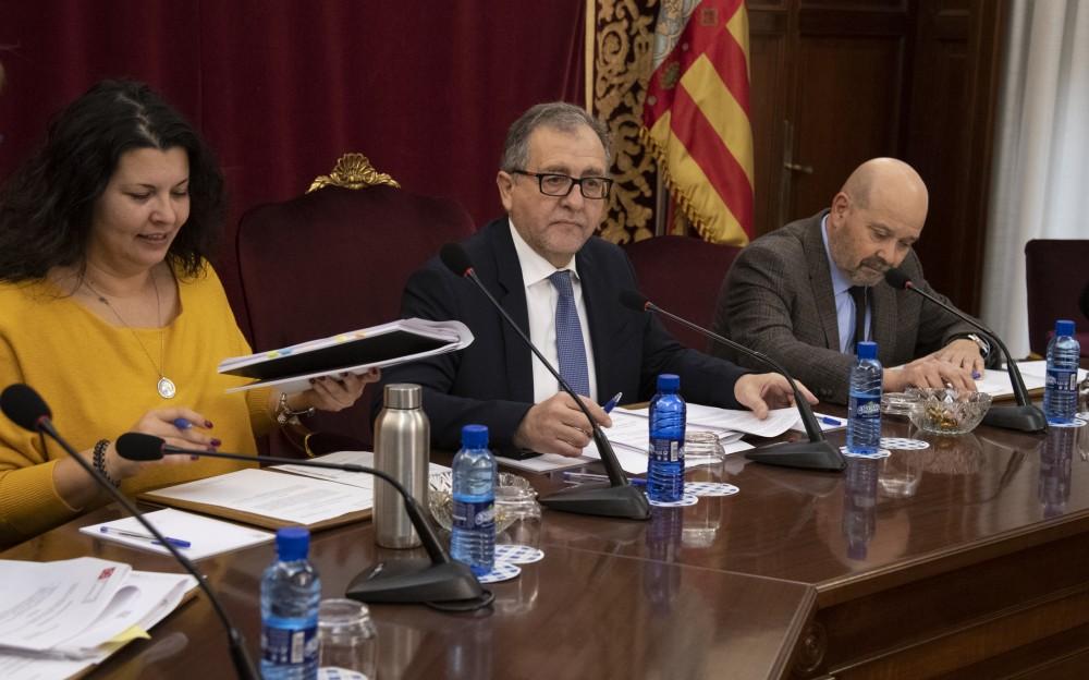 Jose Marti Pleno Diputacion 210120 5