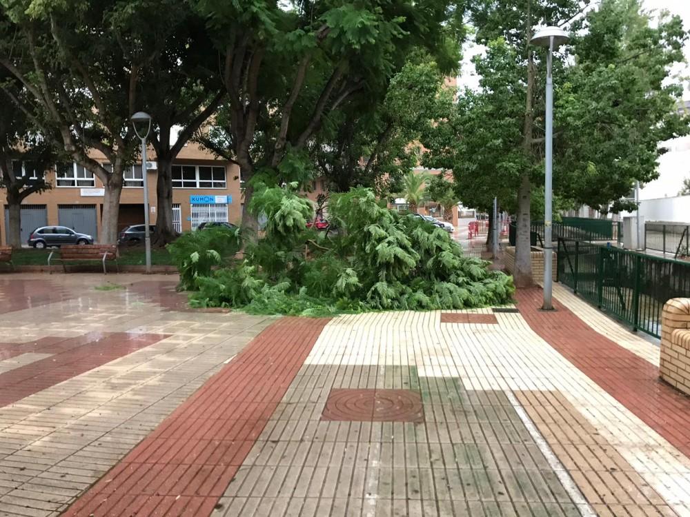 WhatsApp Image 2019-09-11 at 09.08.22