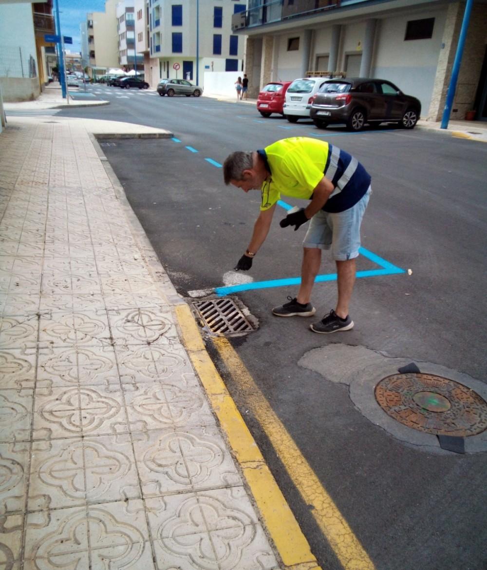 control plagas Peníscola