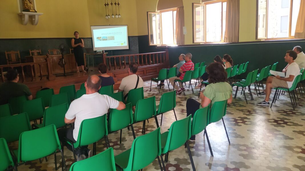 castellon cambra agraria cultiu ecologic