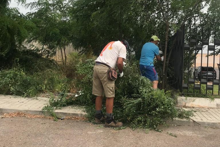 nules contractacio desempleats