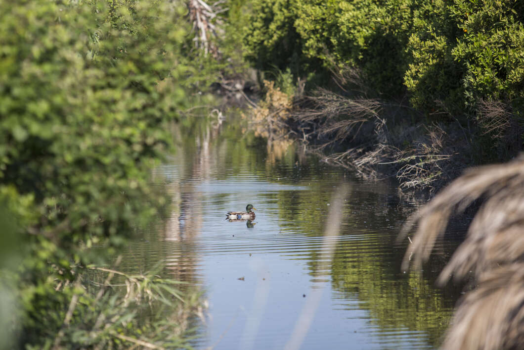 marjaleria concurso fotografia