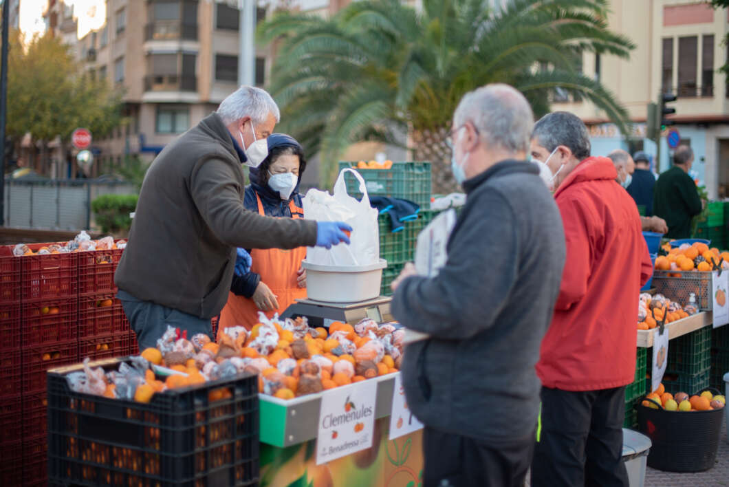 castello fira de la taronja
