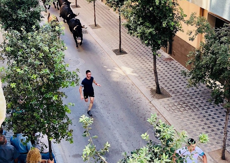 almassora ganaderias fiestas patronales