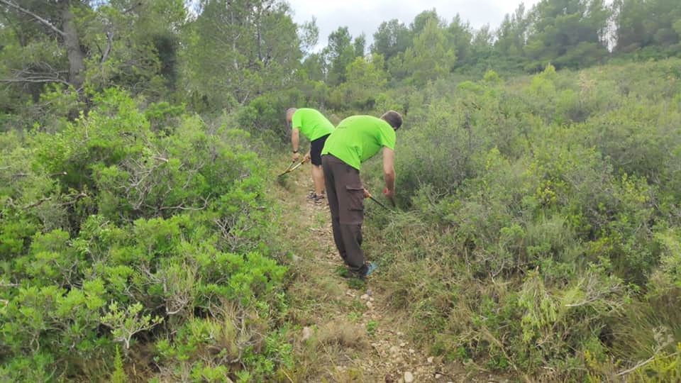 canet lo roig limpieza