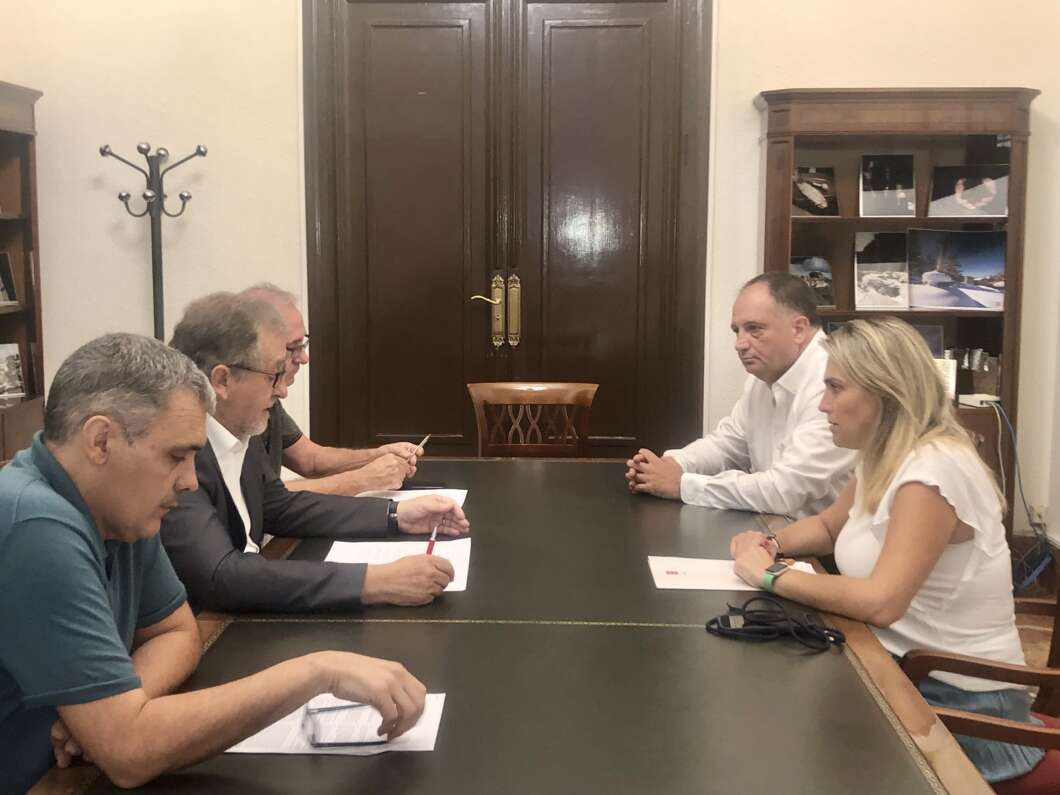 marta barrachina consenso ayudas