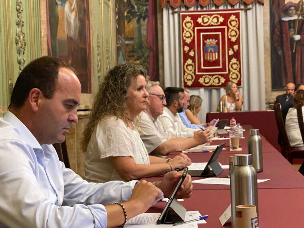 Pleno Diputación 130922