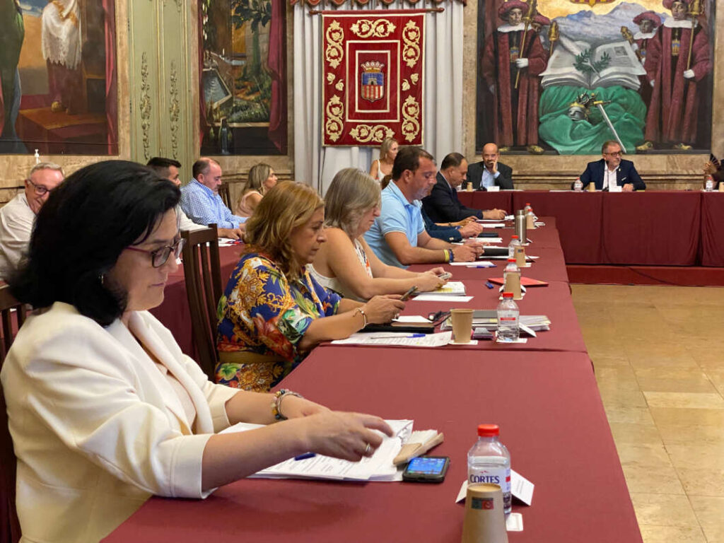 Pleno Diputación 130922