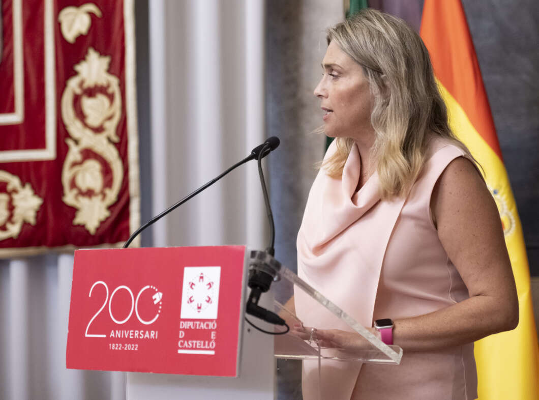 Pleno Diputación 130922