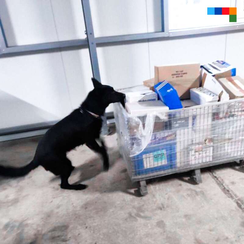 Policía Local Castelló