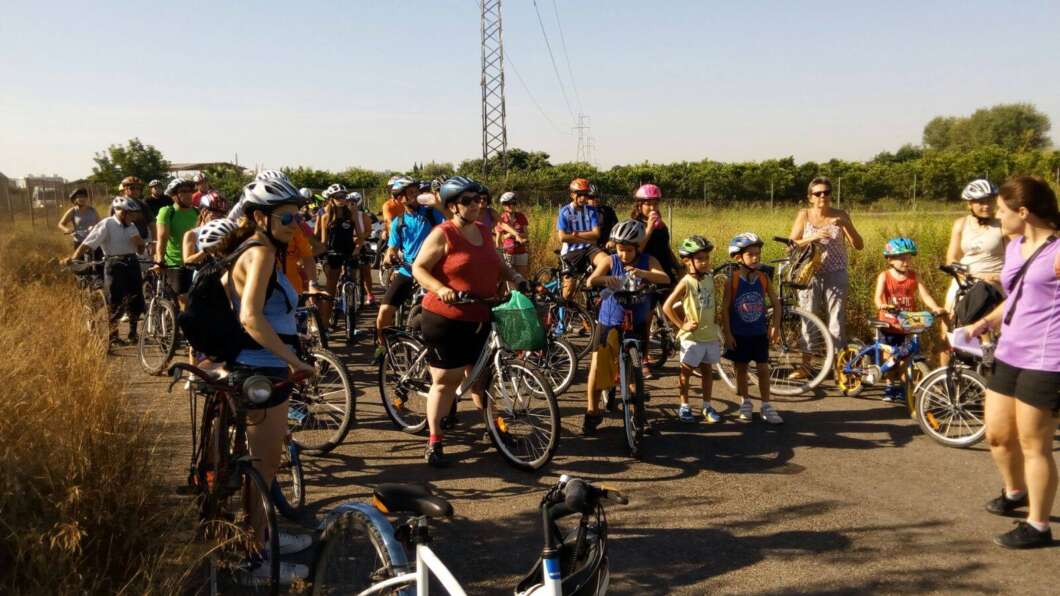 volta borriana misericordia