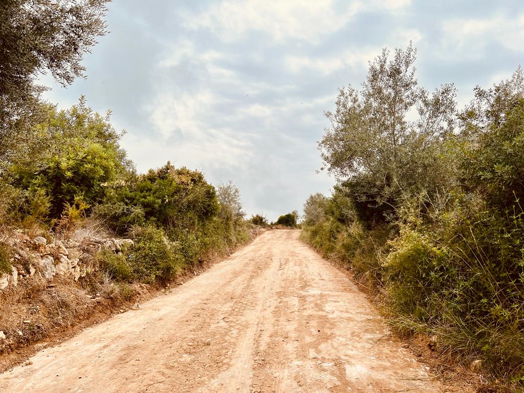 calig conselleria camins