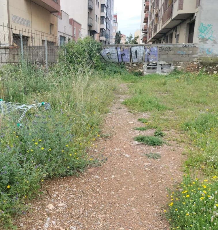 Entorno Marqués de Salamanca Castelló