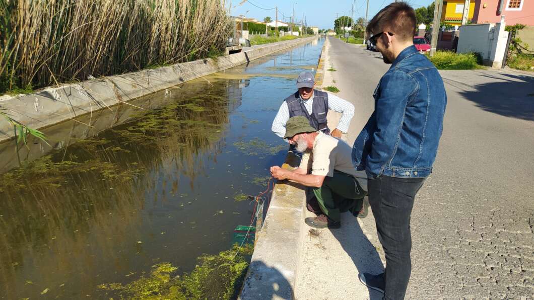 marjaleria concurs fotografia