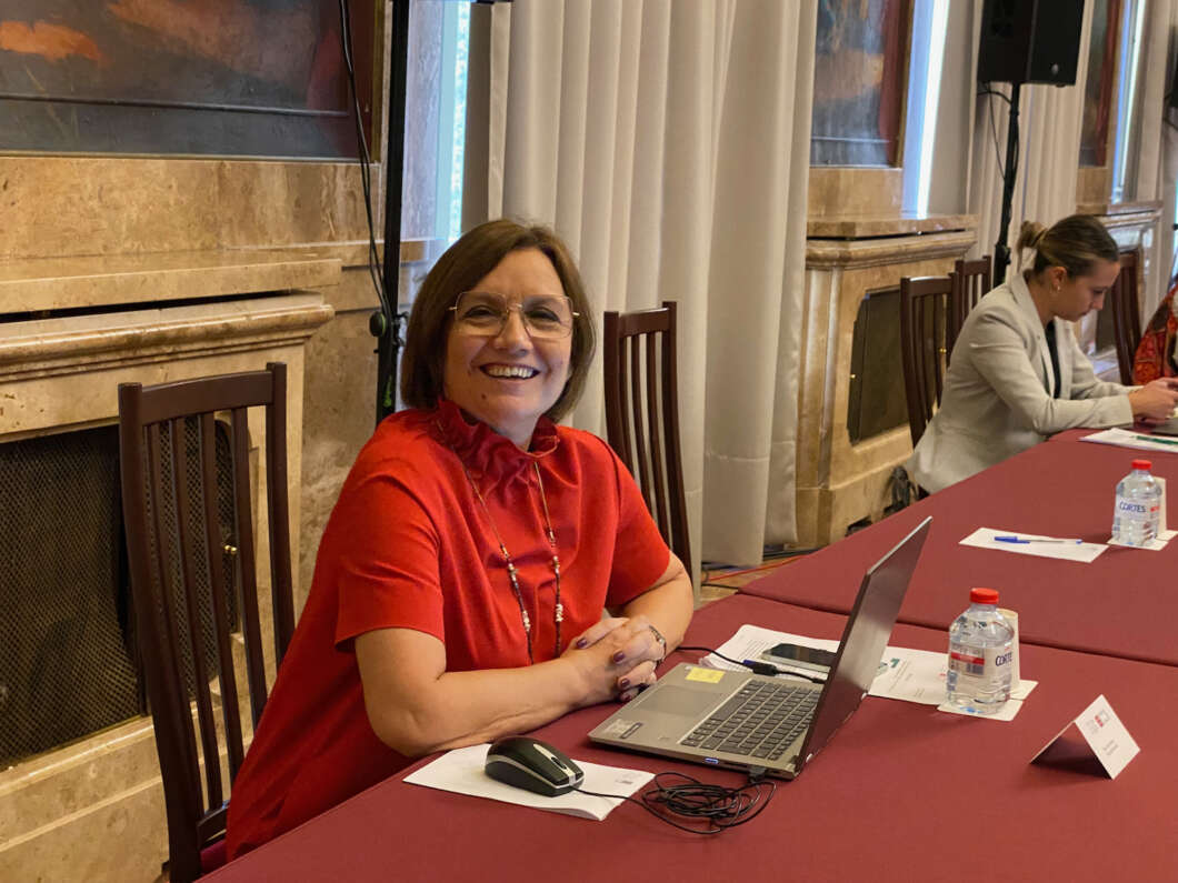 Pleno Diputación 181022