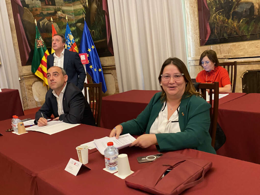 Pleno Diputación 181022