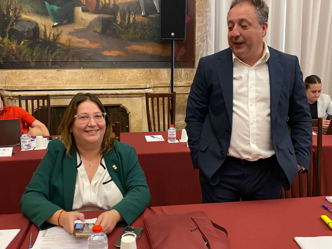 Pleno Diputación 181022