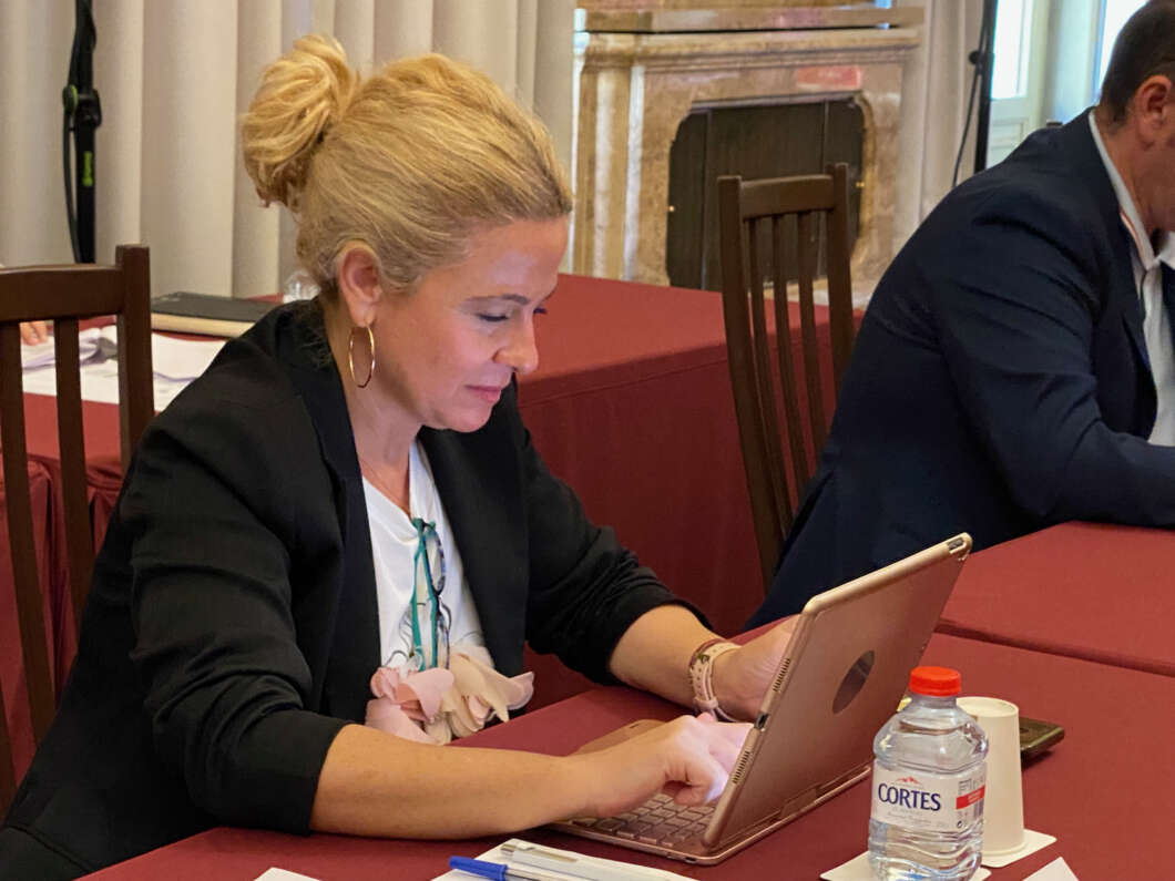 Pleno Diputación 181022