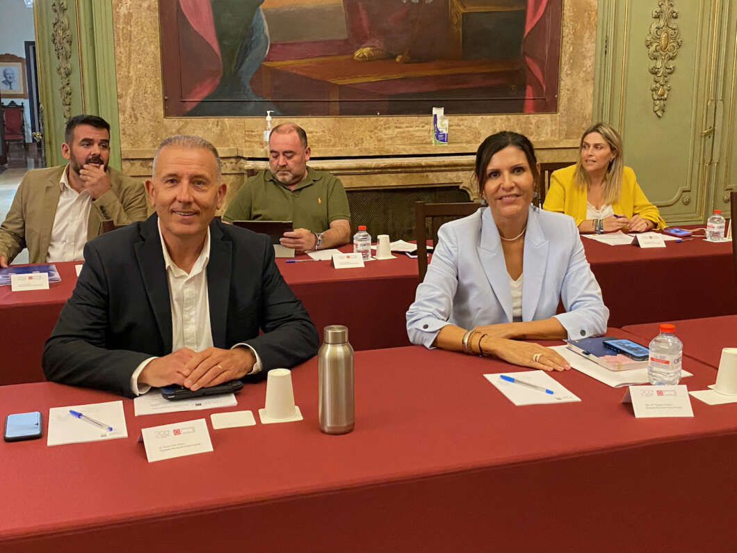 Pleno Diputación 181022