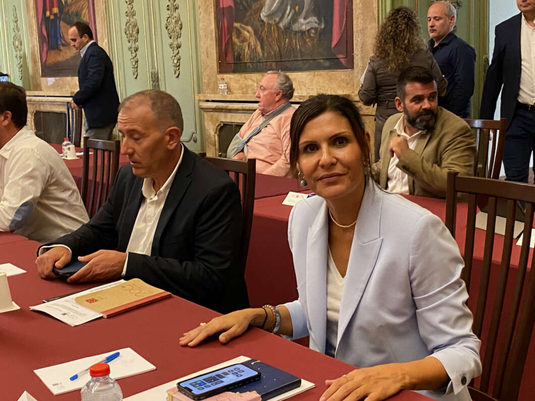 Pleno Diputación 181022