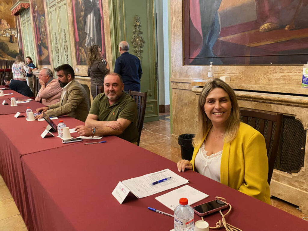 Pleno Diputación 181022