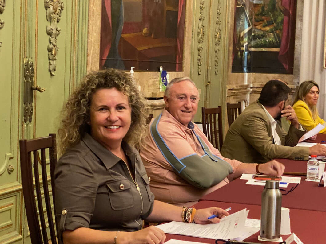 Pleno Diputación 181022