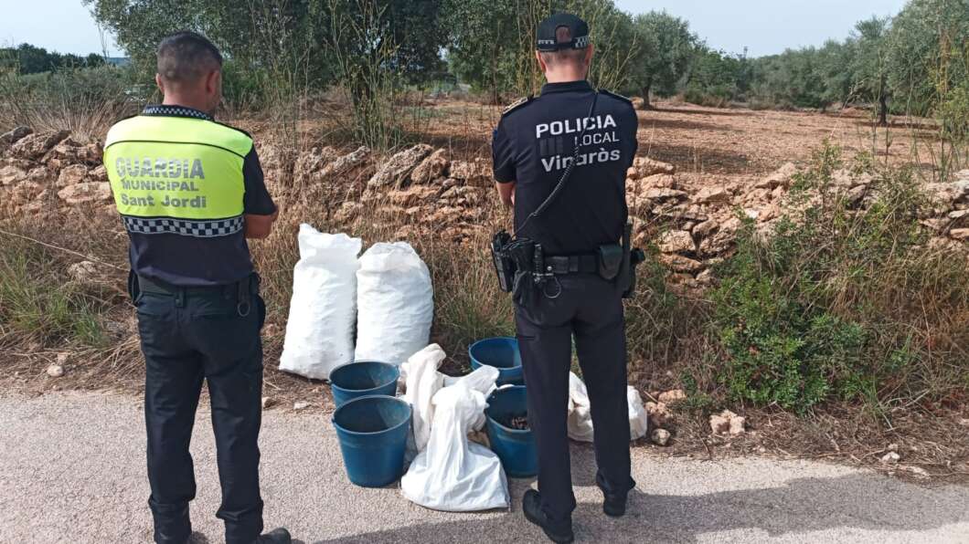 sant jordi robo algarrobas detenciones