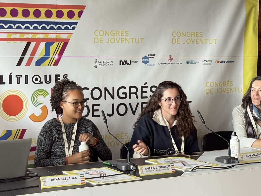 consell joventut borriana