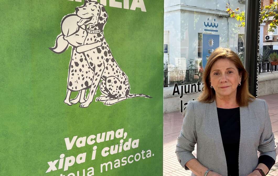 la vall d'uixo mascotas