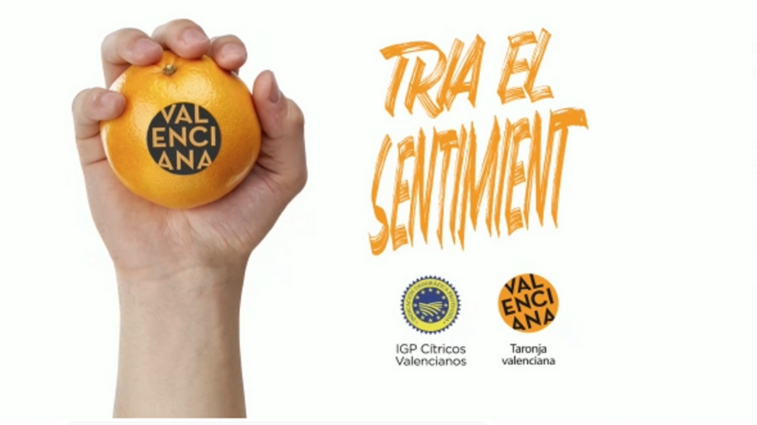 campaña naranja valenciana