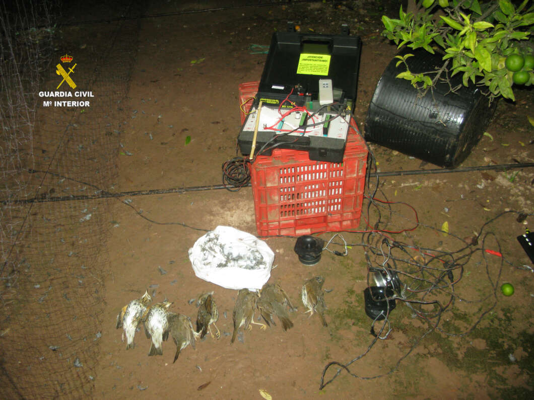 investigados caza parany redes japonesas