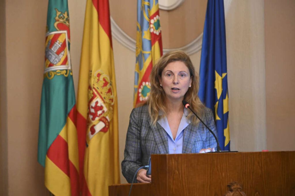 Pleno Castellón 291222