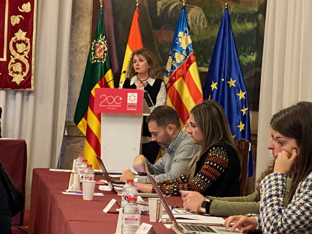 Pleno Diputación 201222