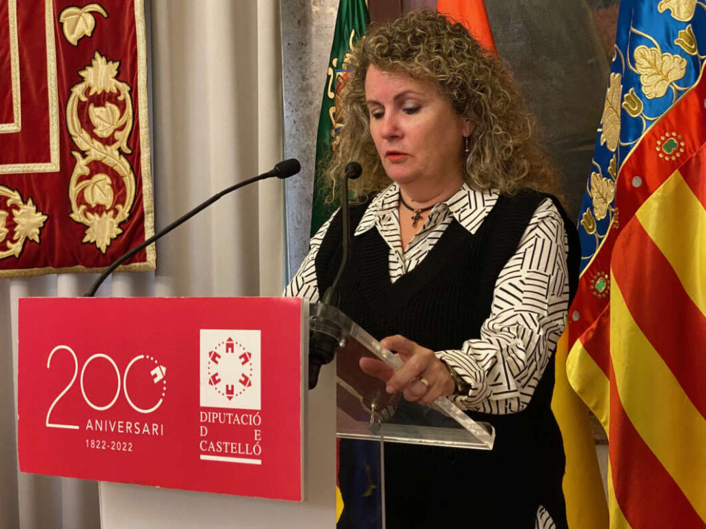 Pleno Diputación 201222