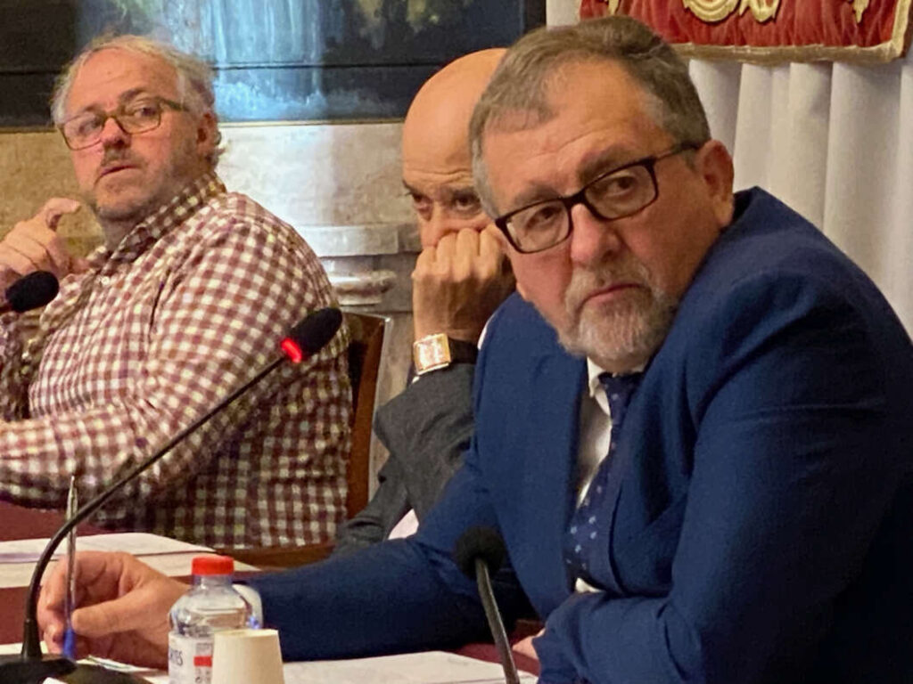 Pleno Diputación 201222