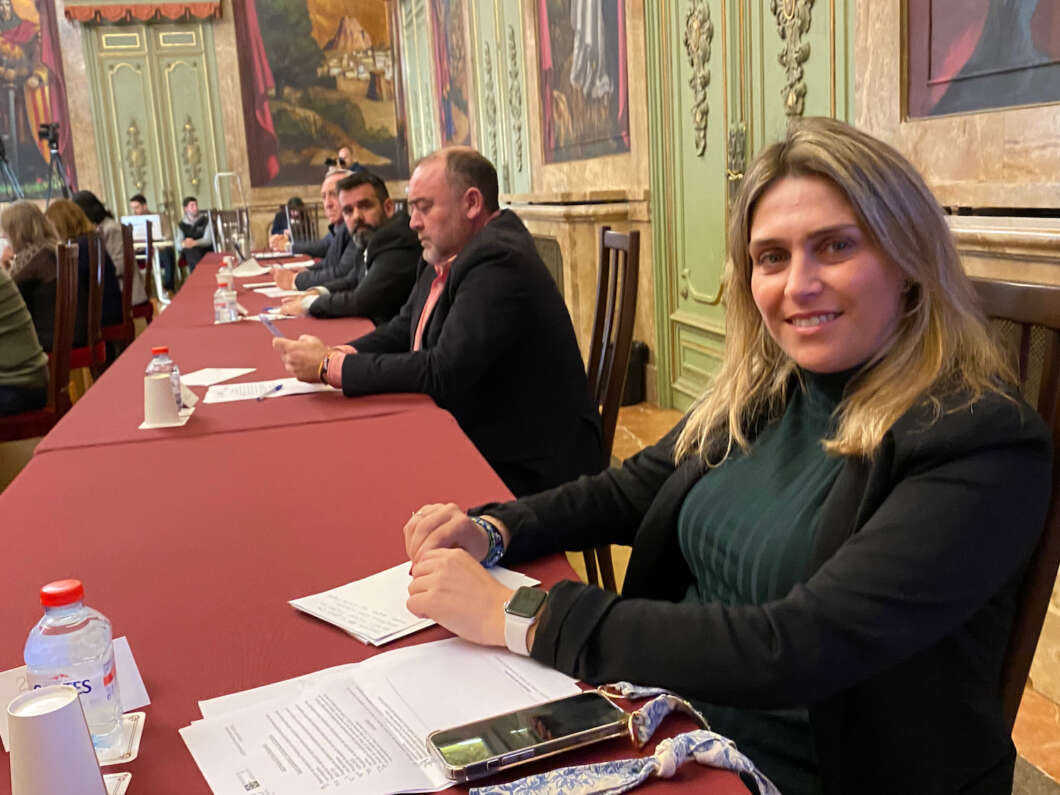 Pleno Diputación 201222