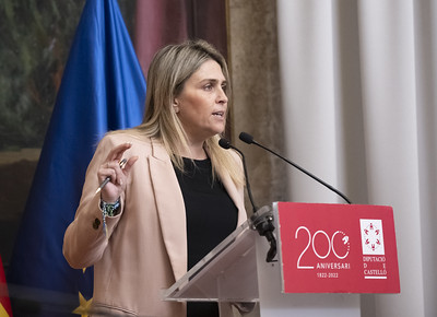 Pleno Diputación 131222