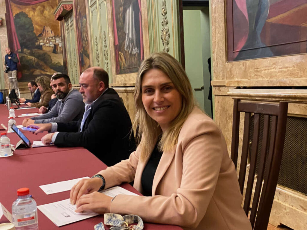 Pleno Diputación 131222