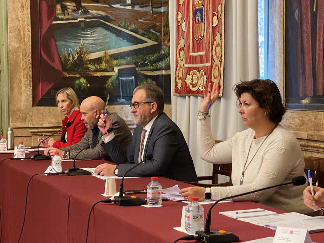 Pleno Diputación 131222